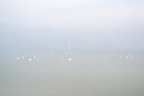 spaces 2011-12